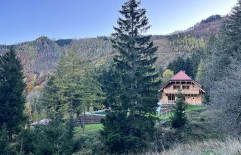 Mariandl Alm Holiday Home