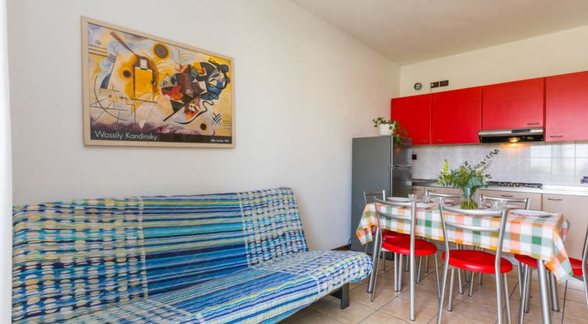 Photo of Robinia/Pinetine