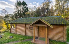 Photo of bear-cabin