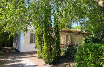 Kiwi Holiday Home