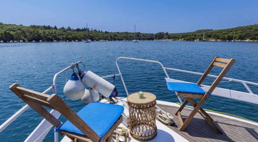 Photo of Nova Natalina