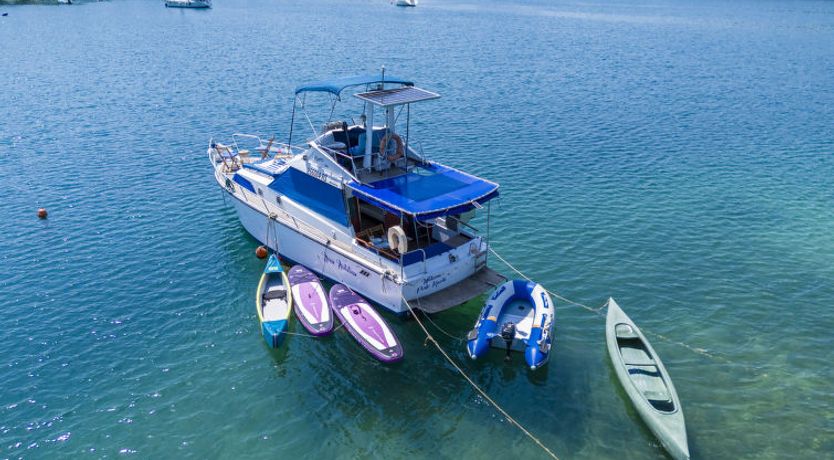 Photo of Nova Natalina