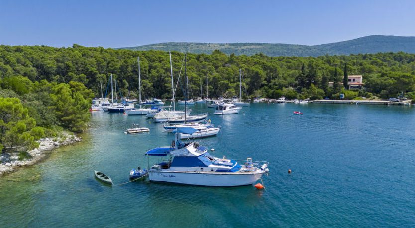 Photo of Nova Natalina