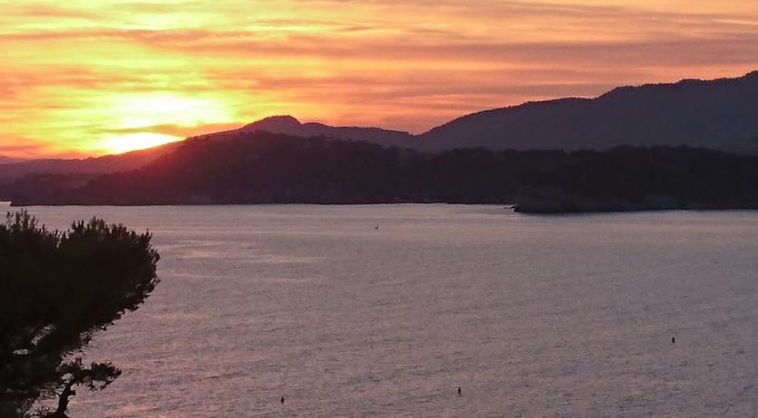 Photo of Le Provençal