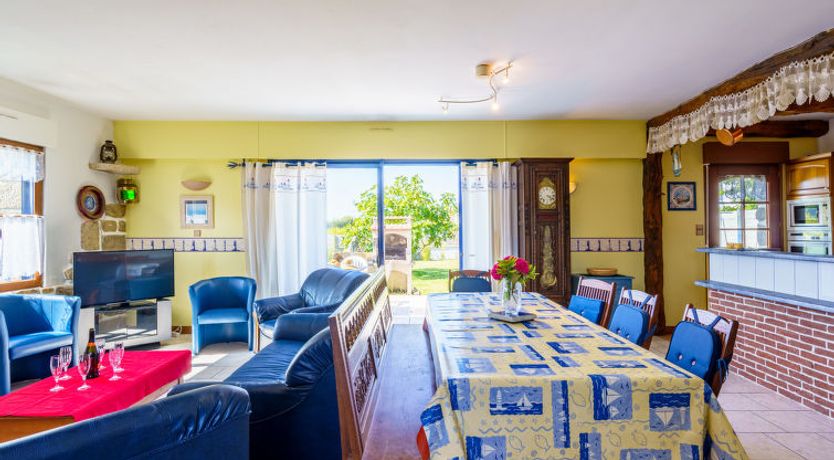 Photo of La mouette bleue