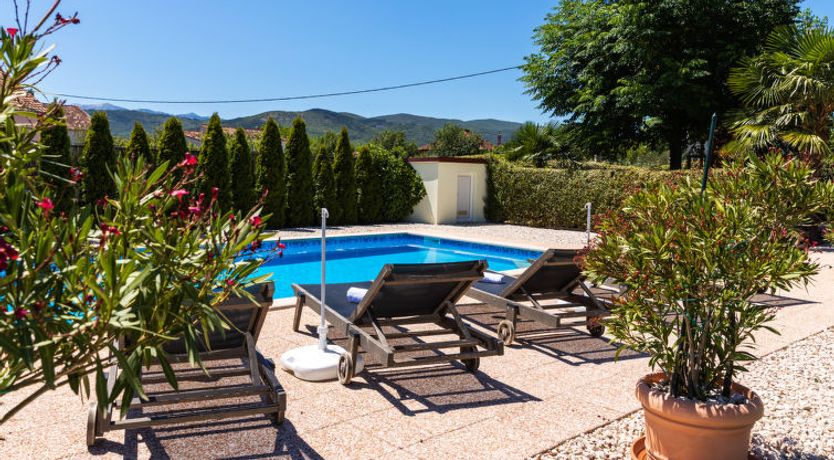 Photo of Green Oasis