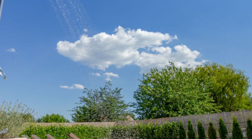 Photo of Green Oasis