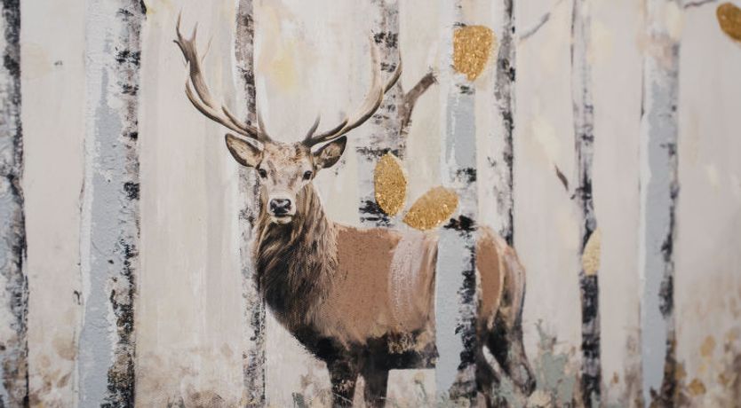 Photo of Springbank Lodge