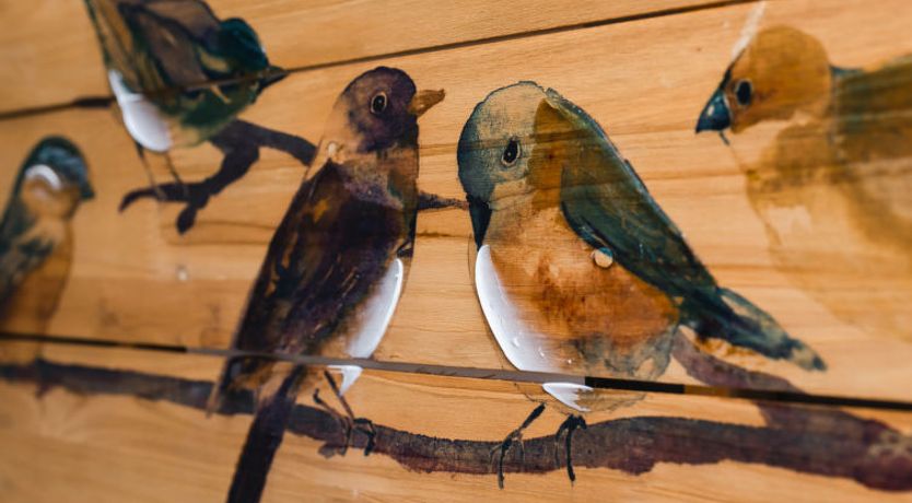 Photo of Springbank Lodge