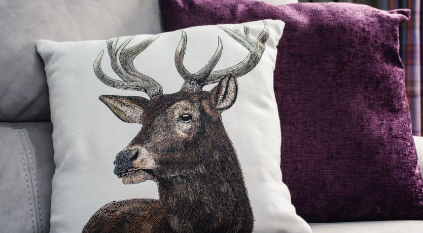 Photo of Springbank Lodge