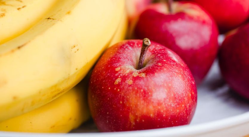 Photo of Springbank Lodge