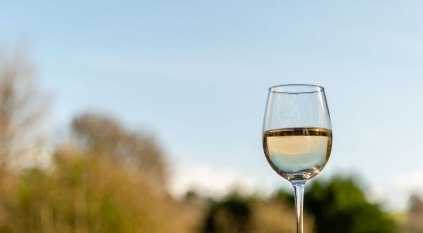 Photo of The Bungalow