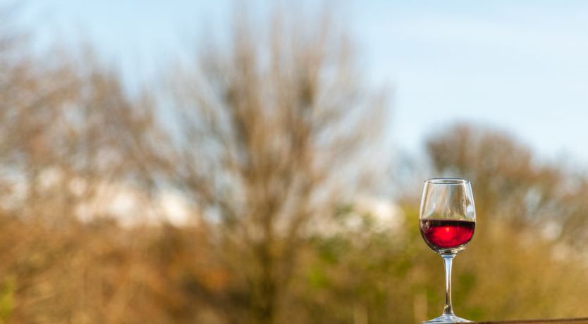 Photo of The Bungalow