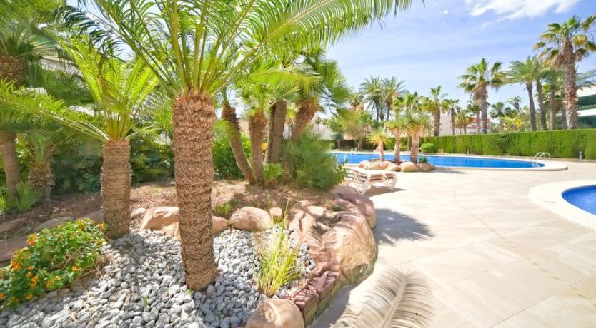 Photo of Coral Beach Apartment 6