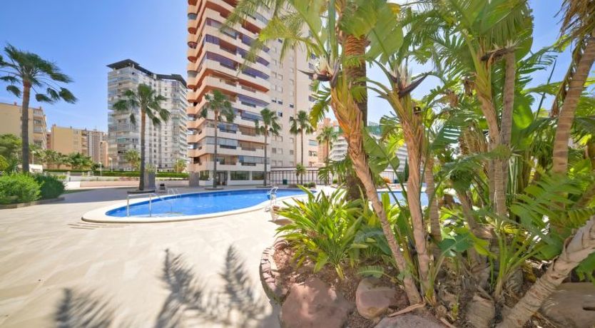 Photo of Coral Beach Apartment 6