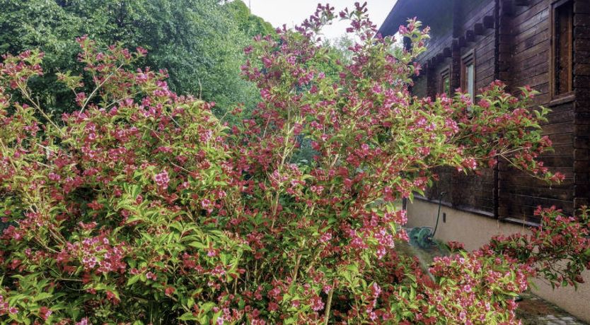 Photo of Jantarowo II Holiday Home 2