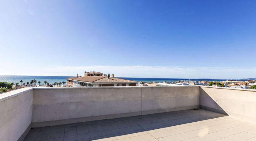 Photo of El velero