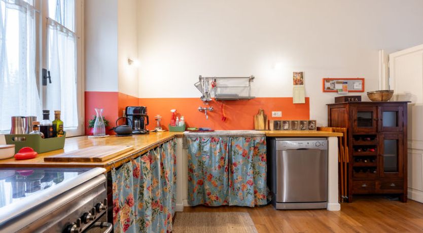 Photo of Delle Ortensie