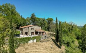 Photo of Il Grillo Parlante