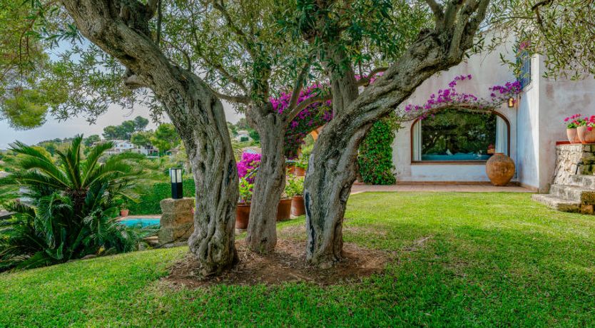 Photo of Villa Pomelo Plus