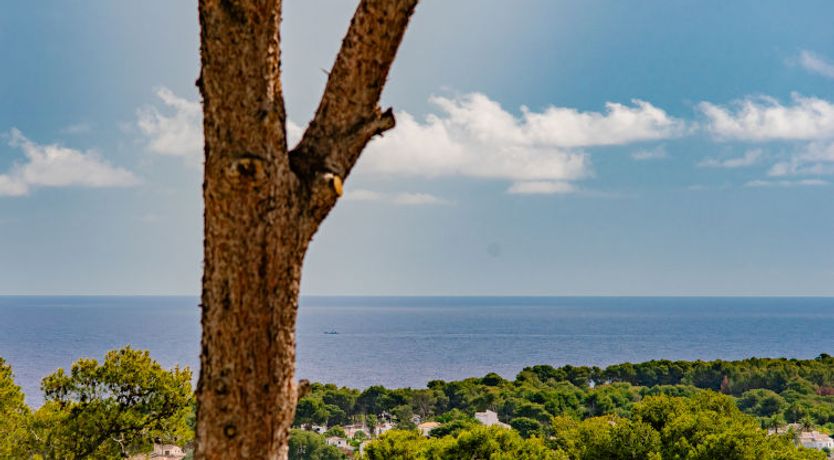 Photo of Villa Pomelo Plus