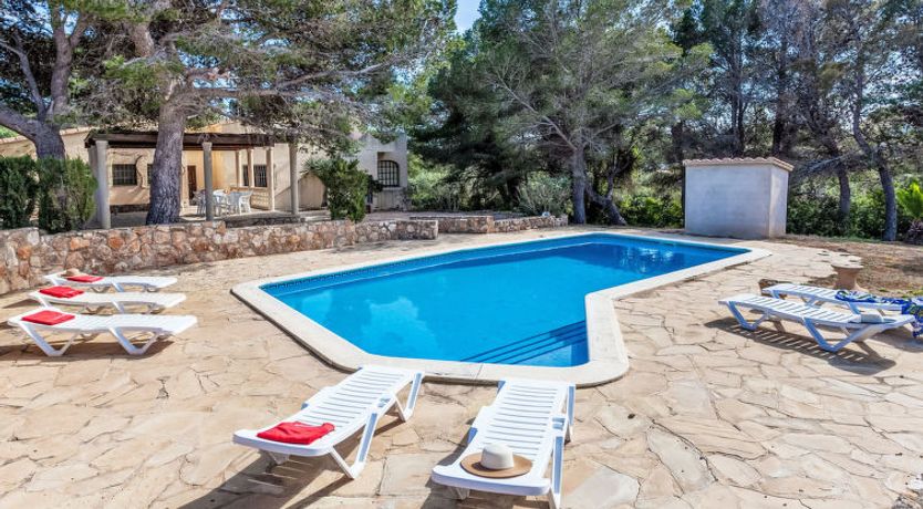 Photo of Africa Villa 2