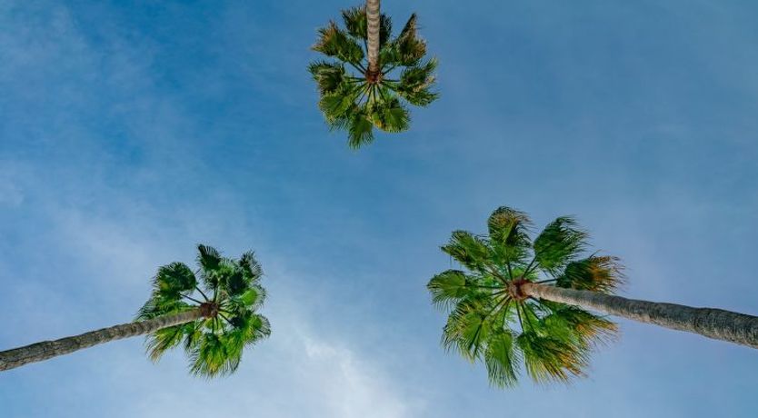 Photo of Villa Mi Sueno