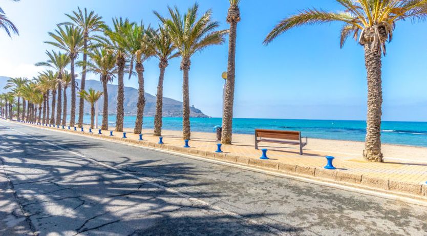 Photo of El Pinar de San Ginés