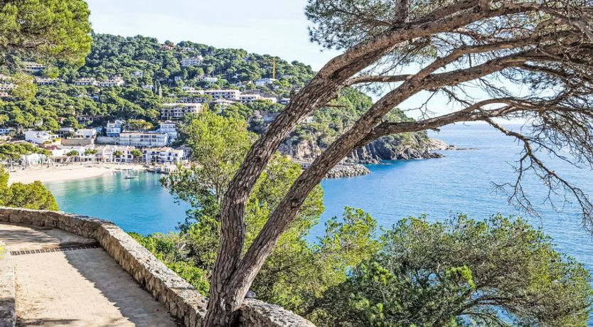 Photo of Llafranc Beach