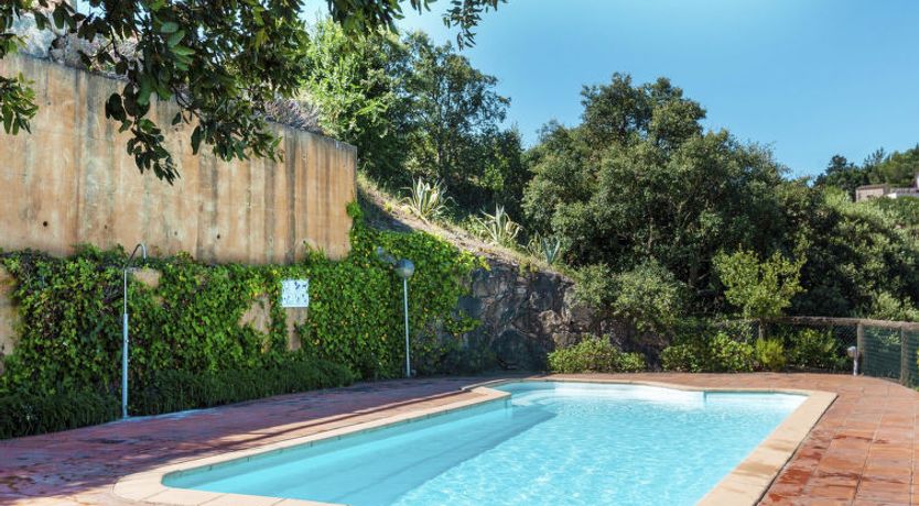 Photo of Xarmada Cecilia