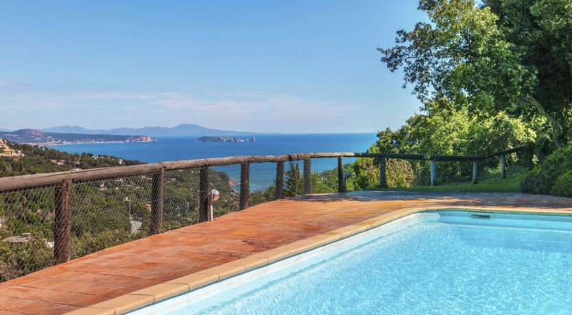 Photo of Xarmada Cecilia