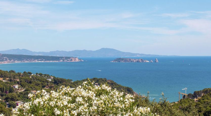 Photo of Xarmada Cecilia