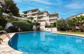 Photo of mediterrani