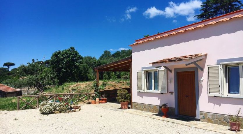 Photo of Albero di Giada