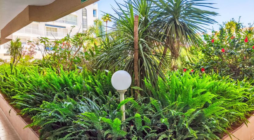 Photo of Edificio El Rey Apartment 2