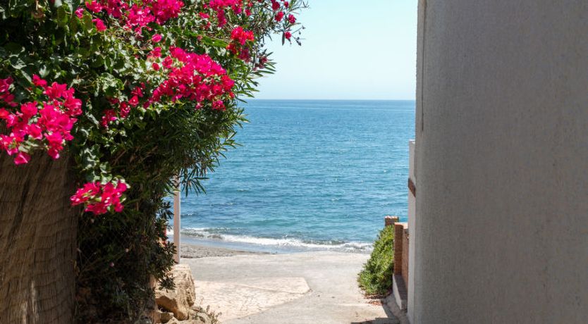 Photo of Pia's Sea Dream