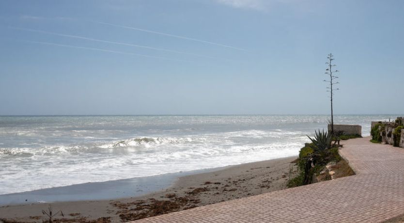 Photo of First Line Arena Beach