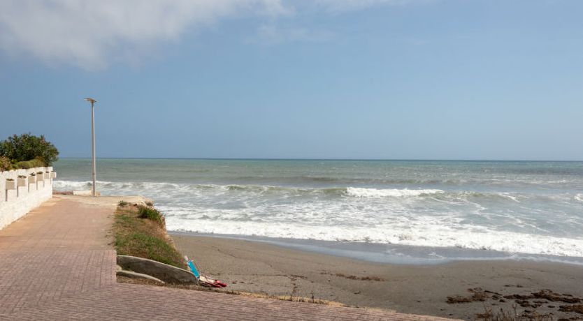 Photo of First Line Arena Beach
