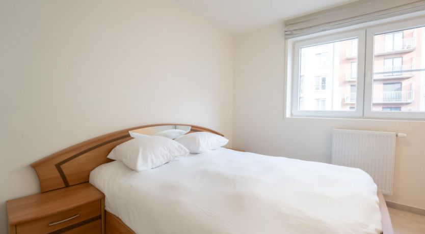 Photo of Richard I with city view