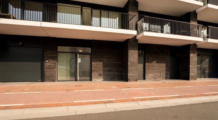 Photo of Richard I with city view