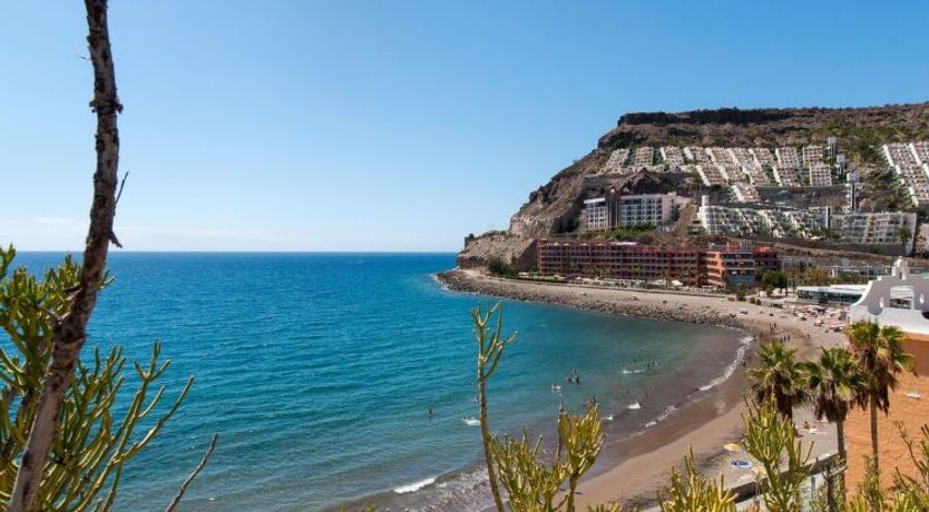 Photo of Apartment Playa del Cura 4