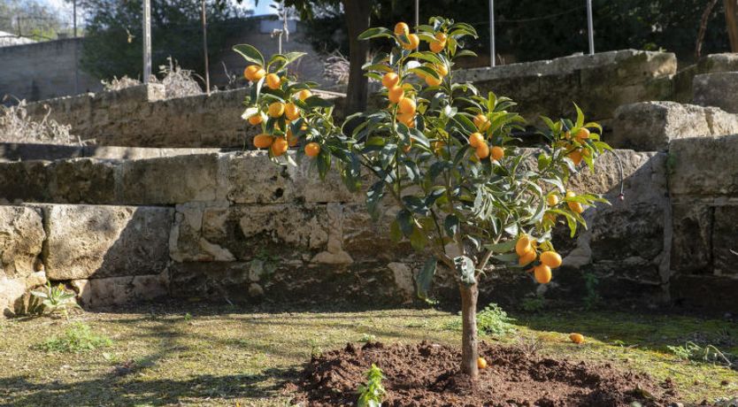 Photo of Lu Sule Apartment 3