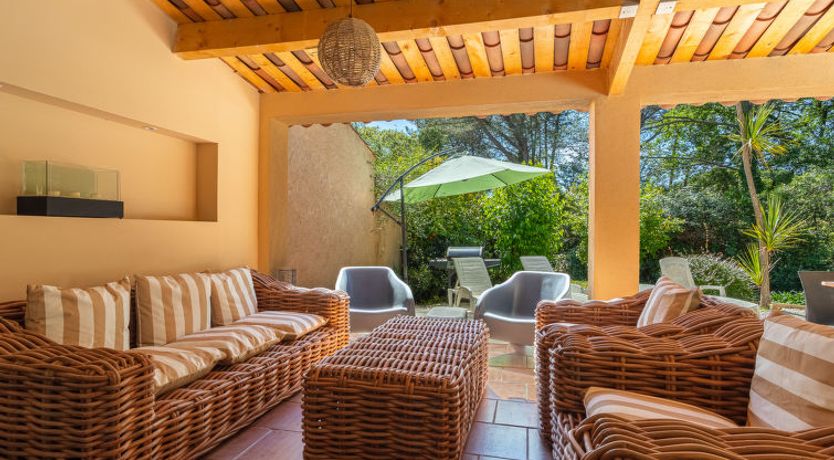 Photo of Les Mimosas