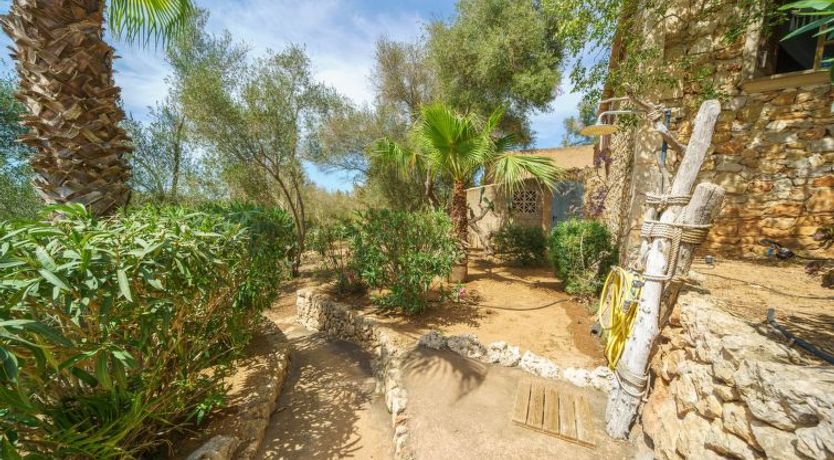 Photo of Moli de sa Cova