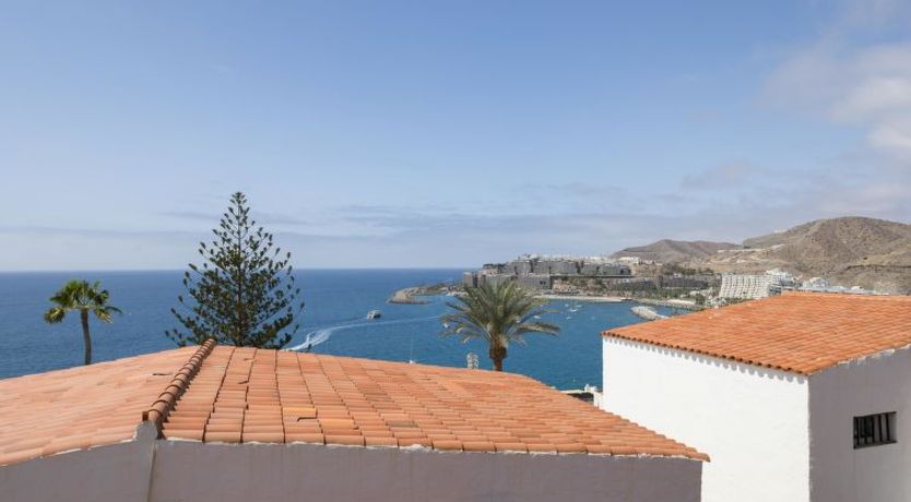 Photo of Los Canarios 527