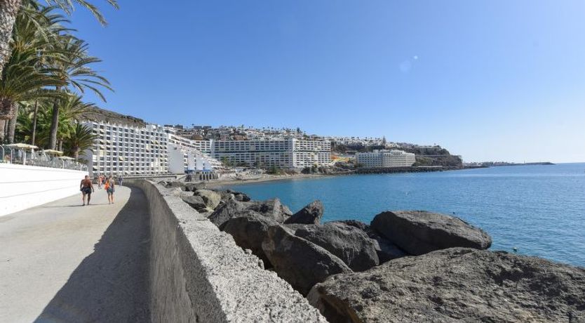 Photo of Los Canarios 527