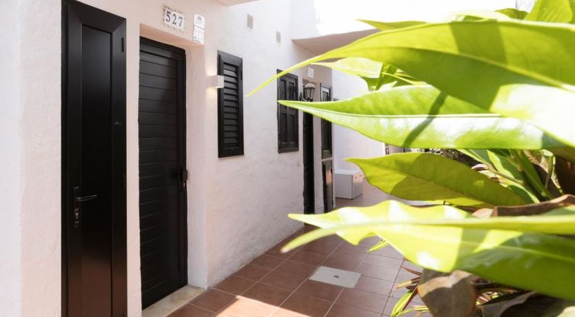 Photo of Los Canarios 527