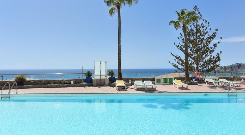 Photo of Los Canarios 527