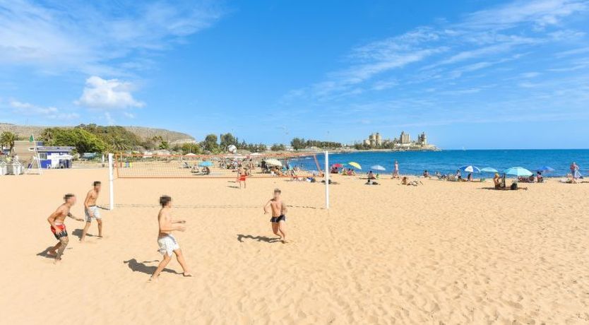 Photo of Los Canarios 527