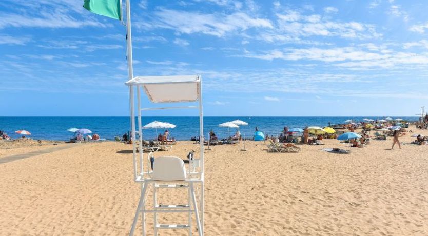 Photo of Los Canarios 527